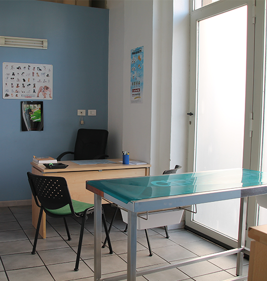 centro veterinario messina
