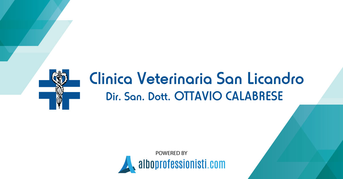 Logo Clinica veterinaria Messina